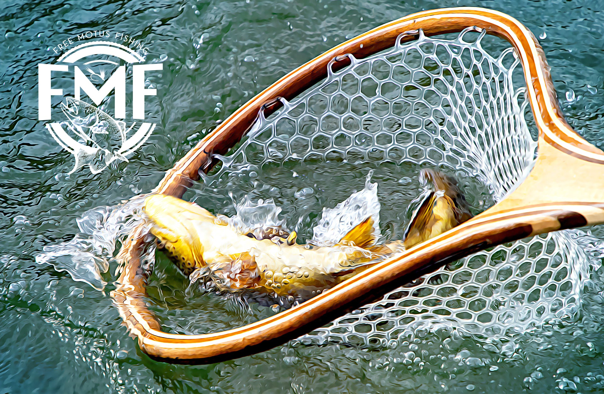 Free Motus Fishing - image
