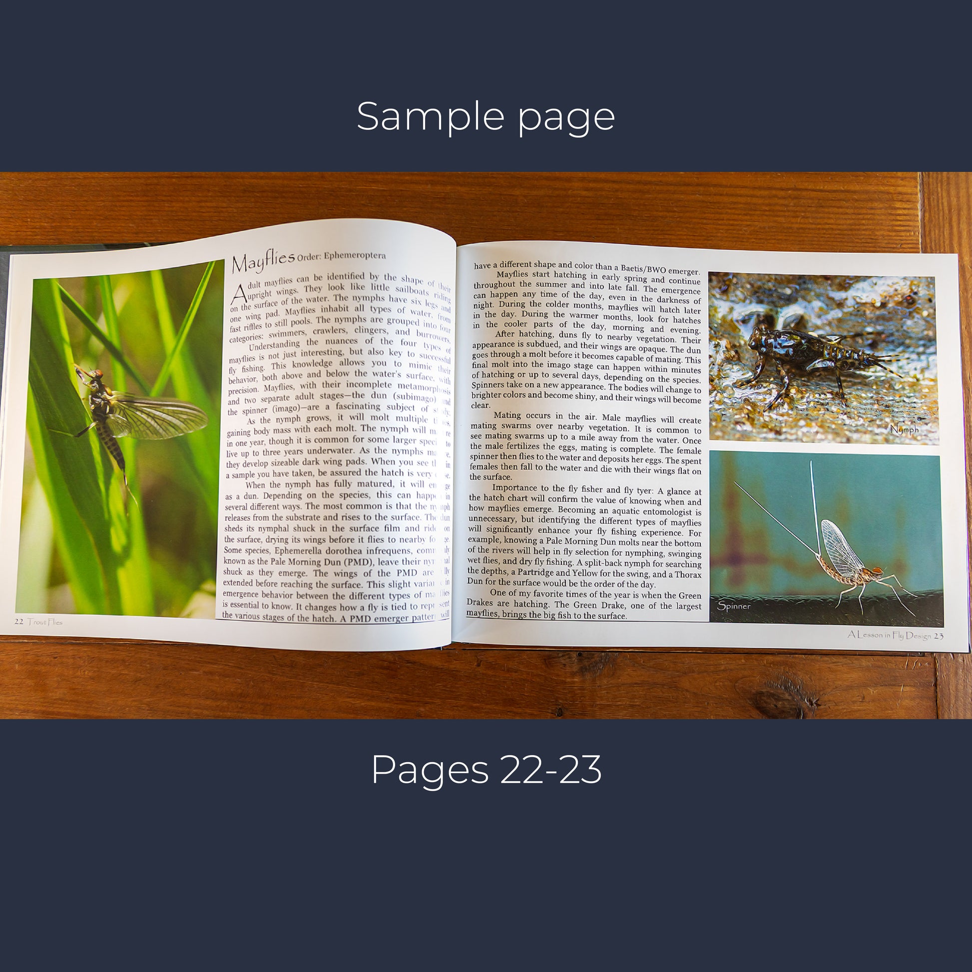 Book - Fly Tying Design -page