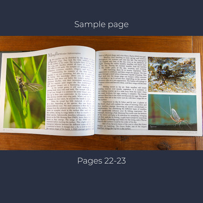 Book - Fly Tying Design -page